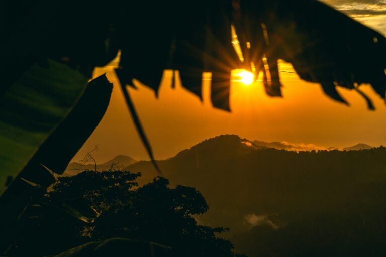 denise-leisner-8eVV287ST0E-unsplash